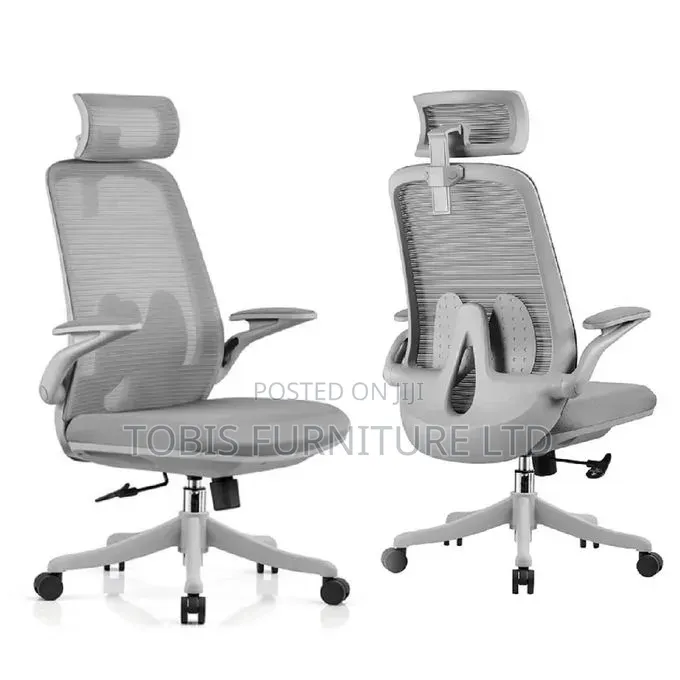 Ergonomic Mesh Office Chair