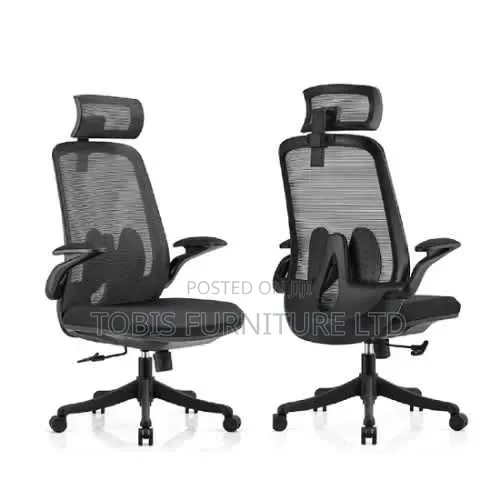 Ergonomic Mesh Office Chair