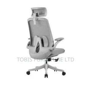Ergonomic Mesh Office Chair