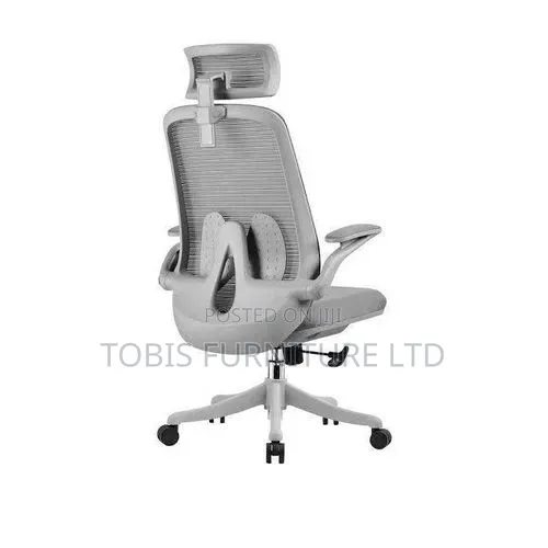 Ergonomic Mesh Office Chair