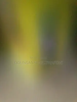 Rechargeable Party Speaker