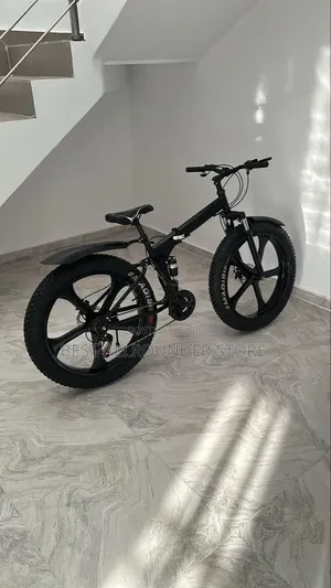 Foldable Bicycle With Big Alloy Wheel