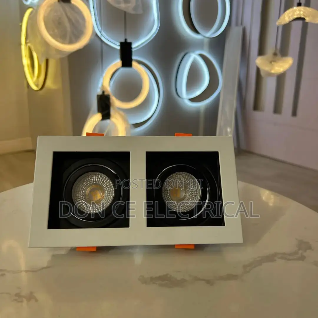 Double Recessed Spot Light