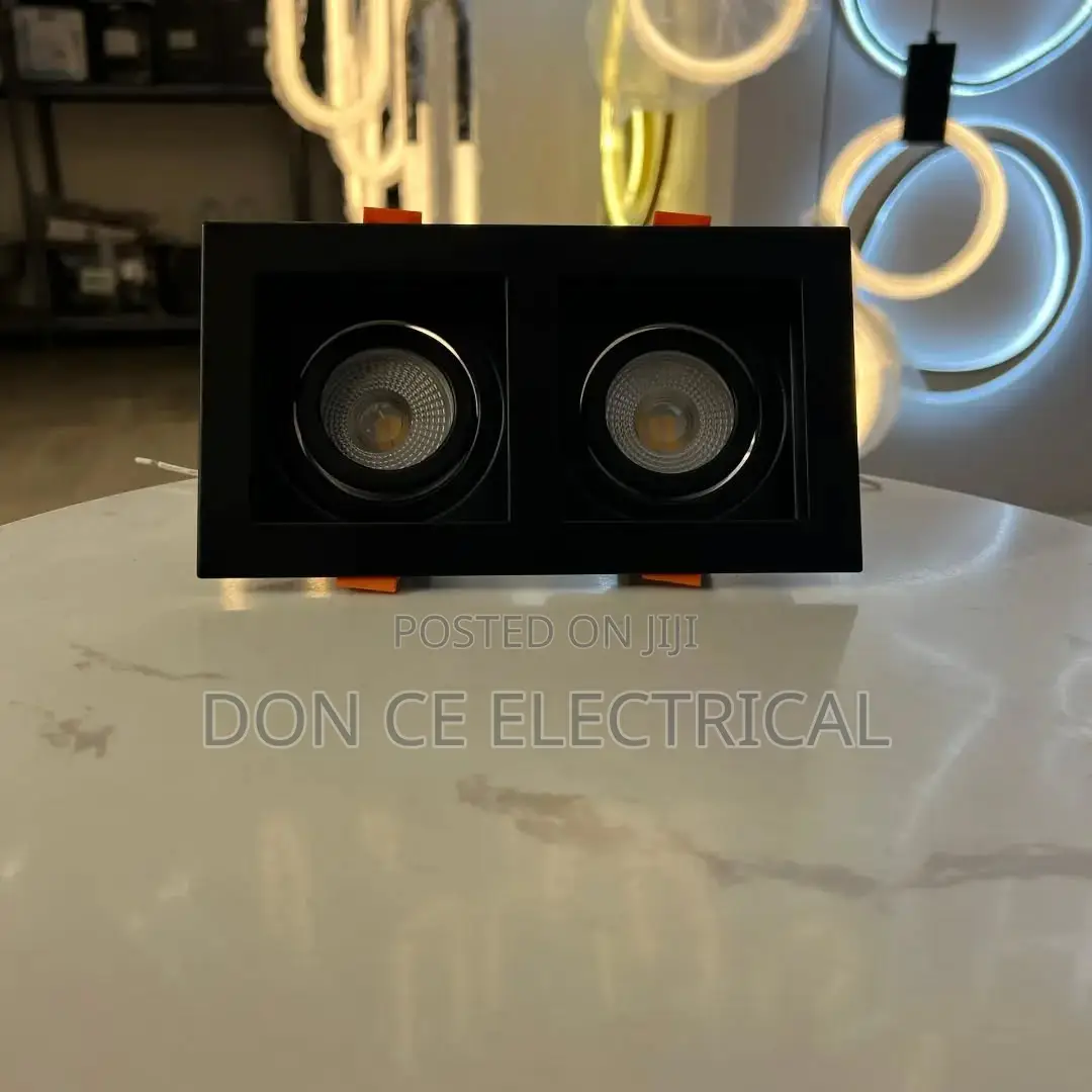 Double Recessed Spot Light