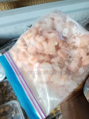 Fresh Shrimps