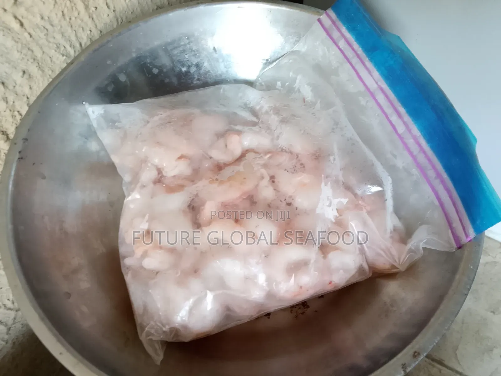 Fresh Shrimps