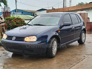 Volkswagen Golf 2004 Blue