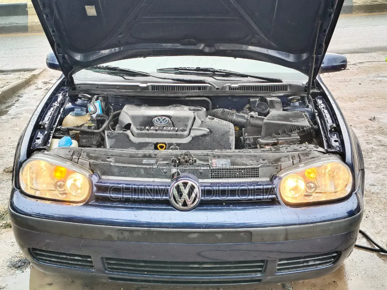 Volkswagen Golf 2004 Blue