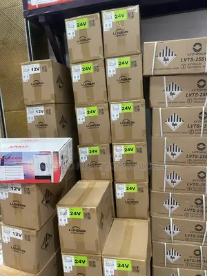 2.5kwh 24v Luxsun Ion Lithium Battery