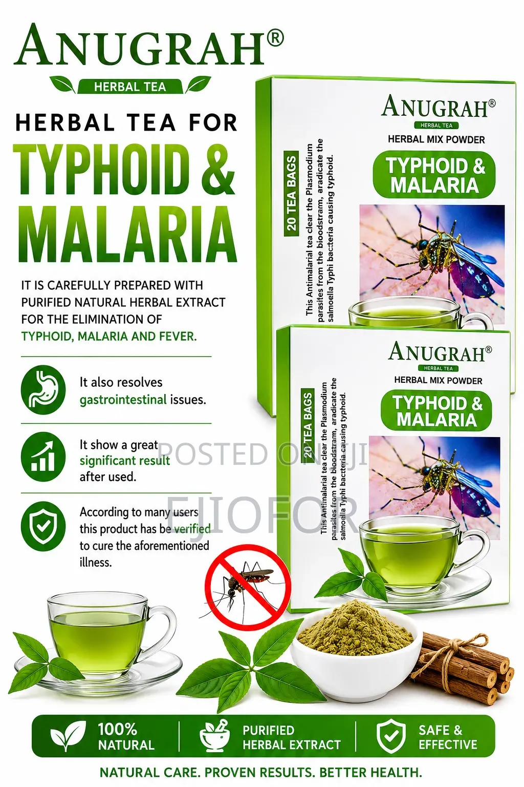 Anugrah Typhoid Malaria