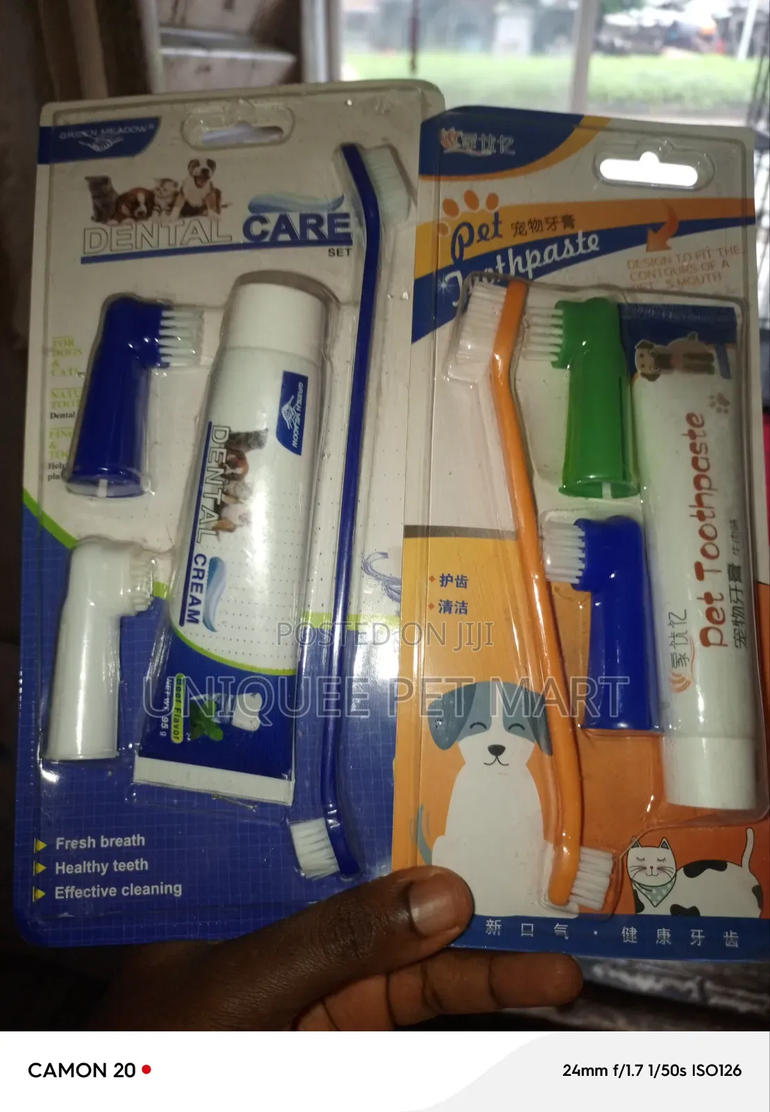 Dental Care