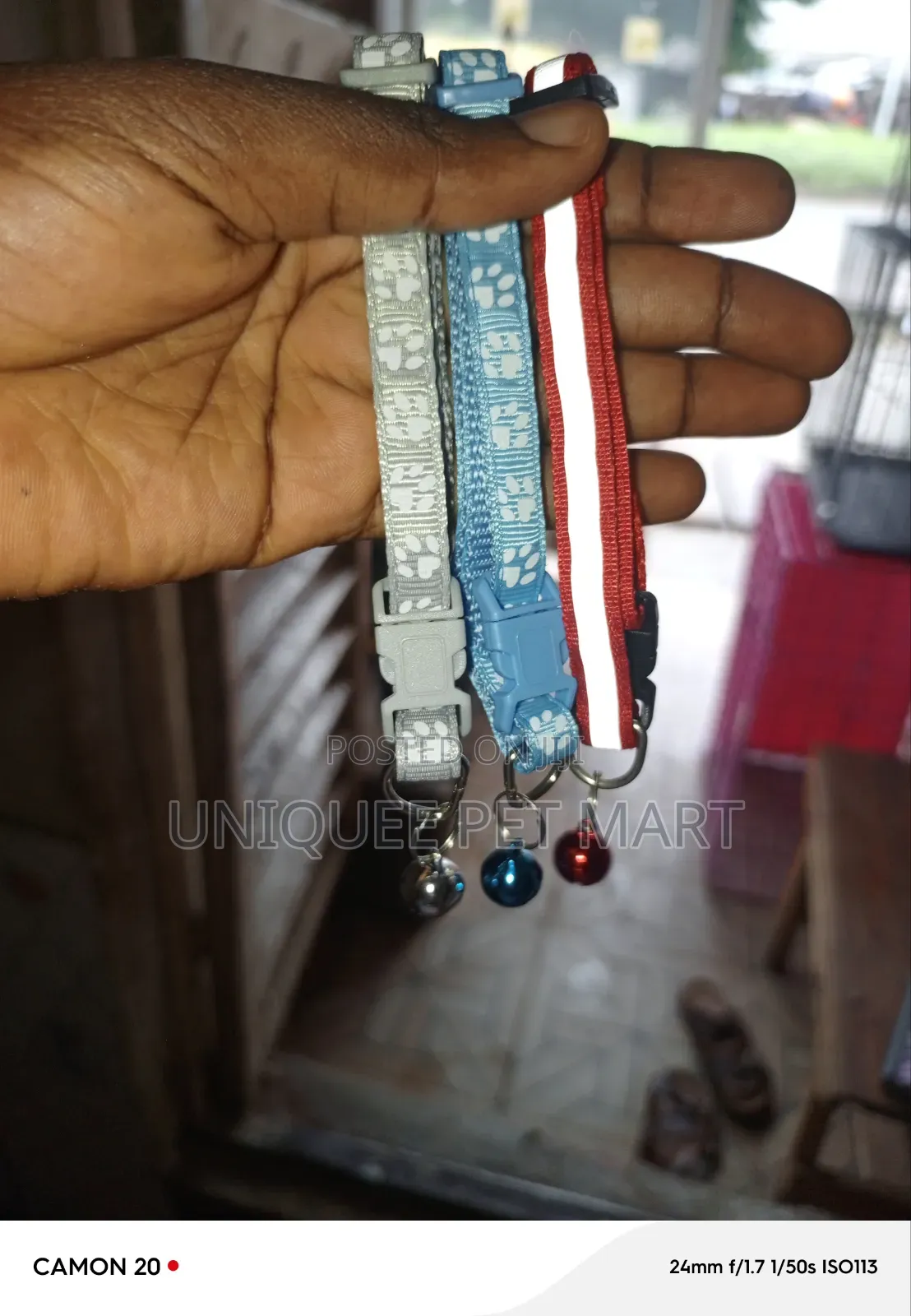Bell Collar