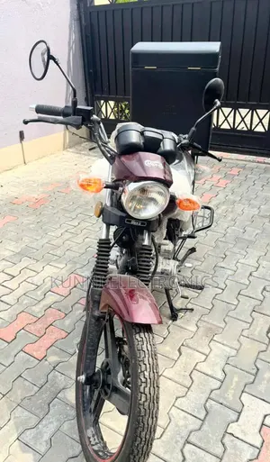 Max-S Max-S 200 2020 Brown