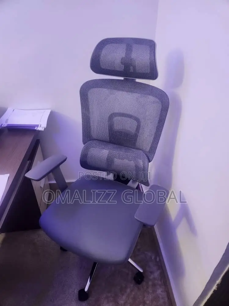 Ergonomic Mesh Chair