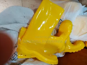 Ordinary Yellow Rainboot