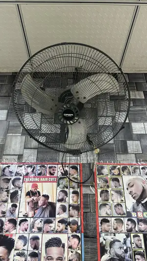 Qasa Wall Fan