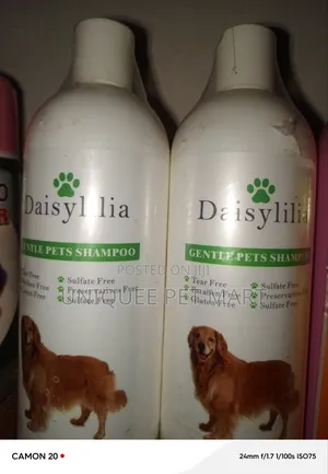 Shampoo Shampoo