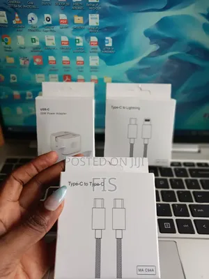 iPhone Charger