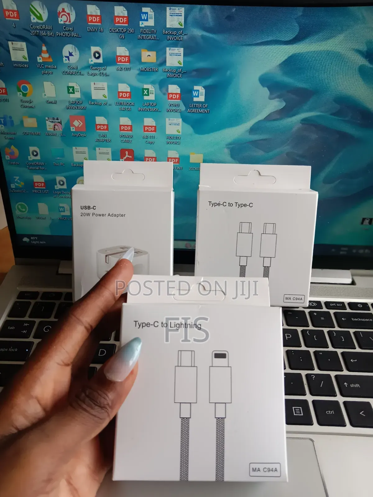 iPhone Charger