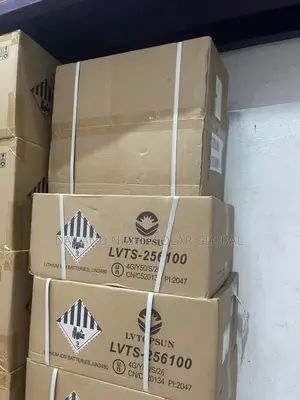 2.5kwh Lvtopsun 24v Ion Battery