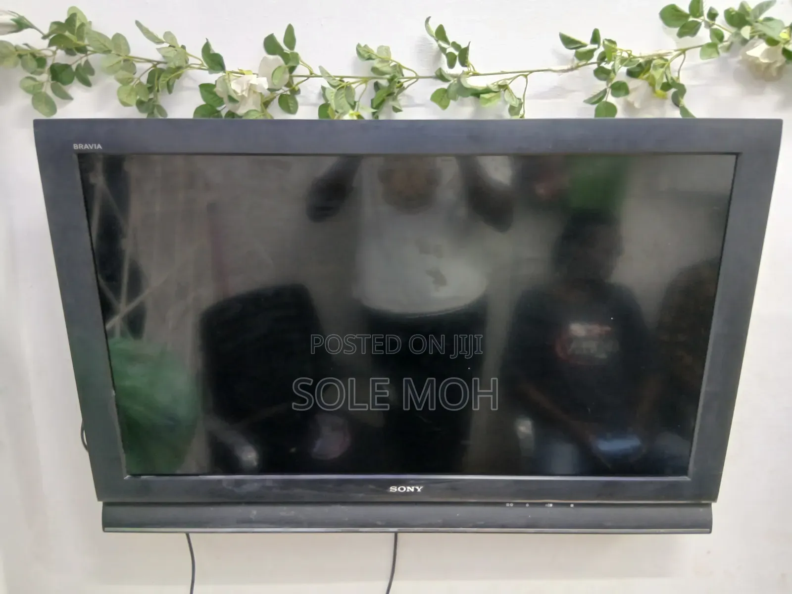 Television
