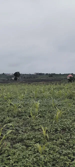Filling Station Plot for Saale