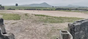 Filling Station Plot for Saale