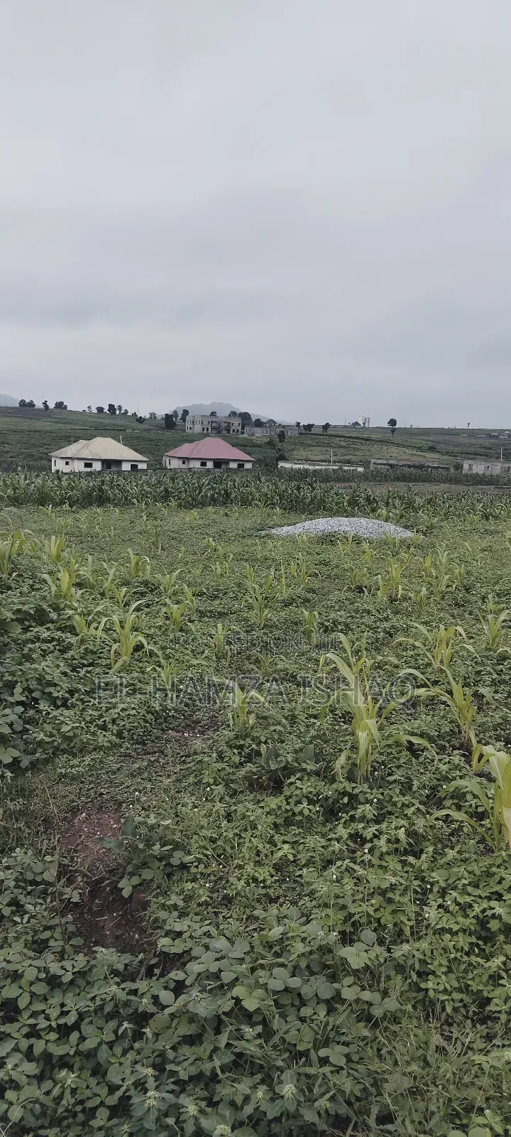 Filling Station Plot for Saale