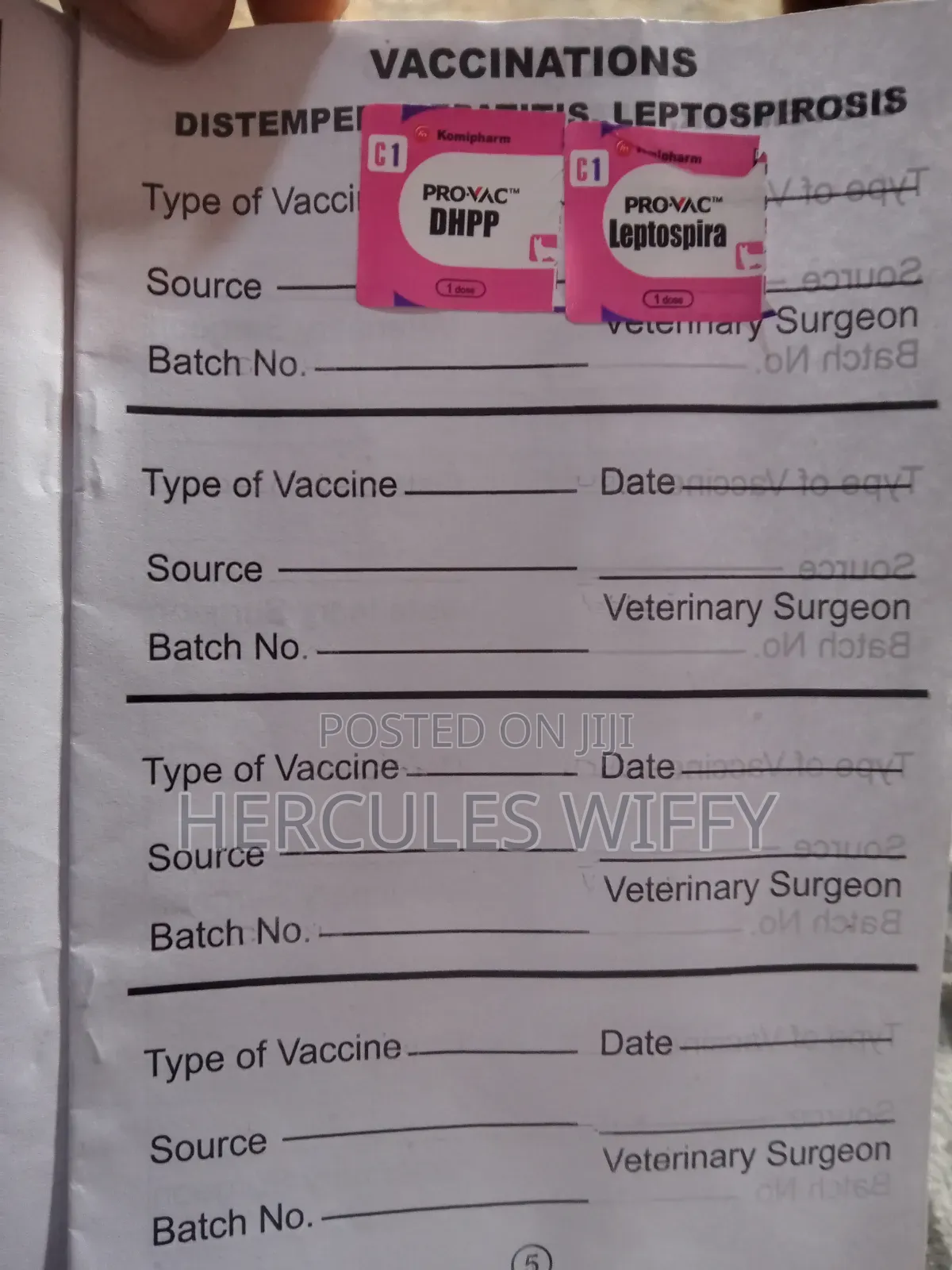 Vet Service