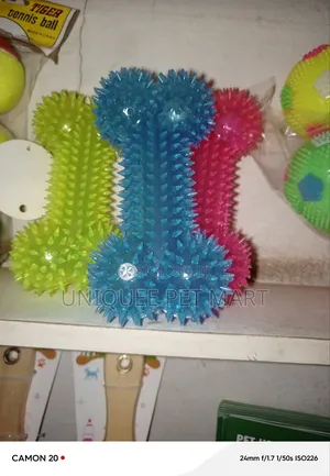 Bone Shape Toy