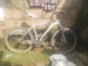 Abandoned Bicycle