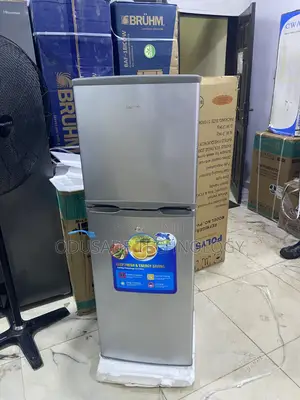 Polystar Pv-Dd250dl Home Fridge