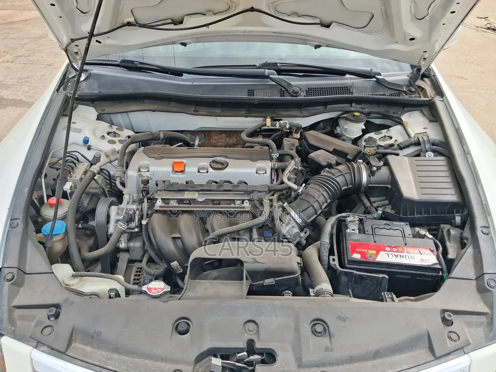 Honda Accord 2011 White