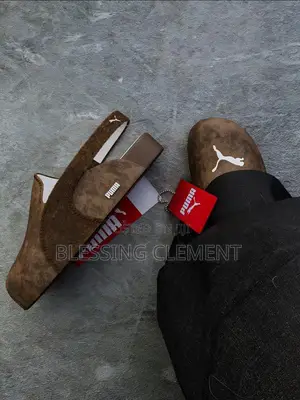 Puma and Zara
