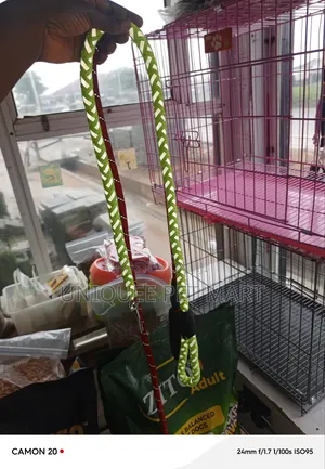Rope Leash, Reflective Leash