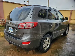 Hyundai Santa Fe 2010 Gray