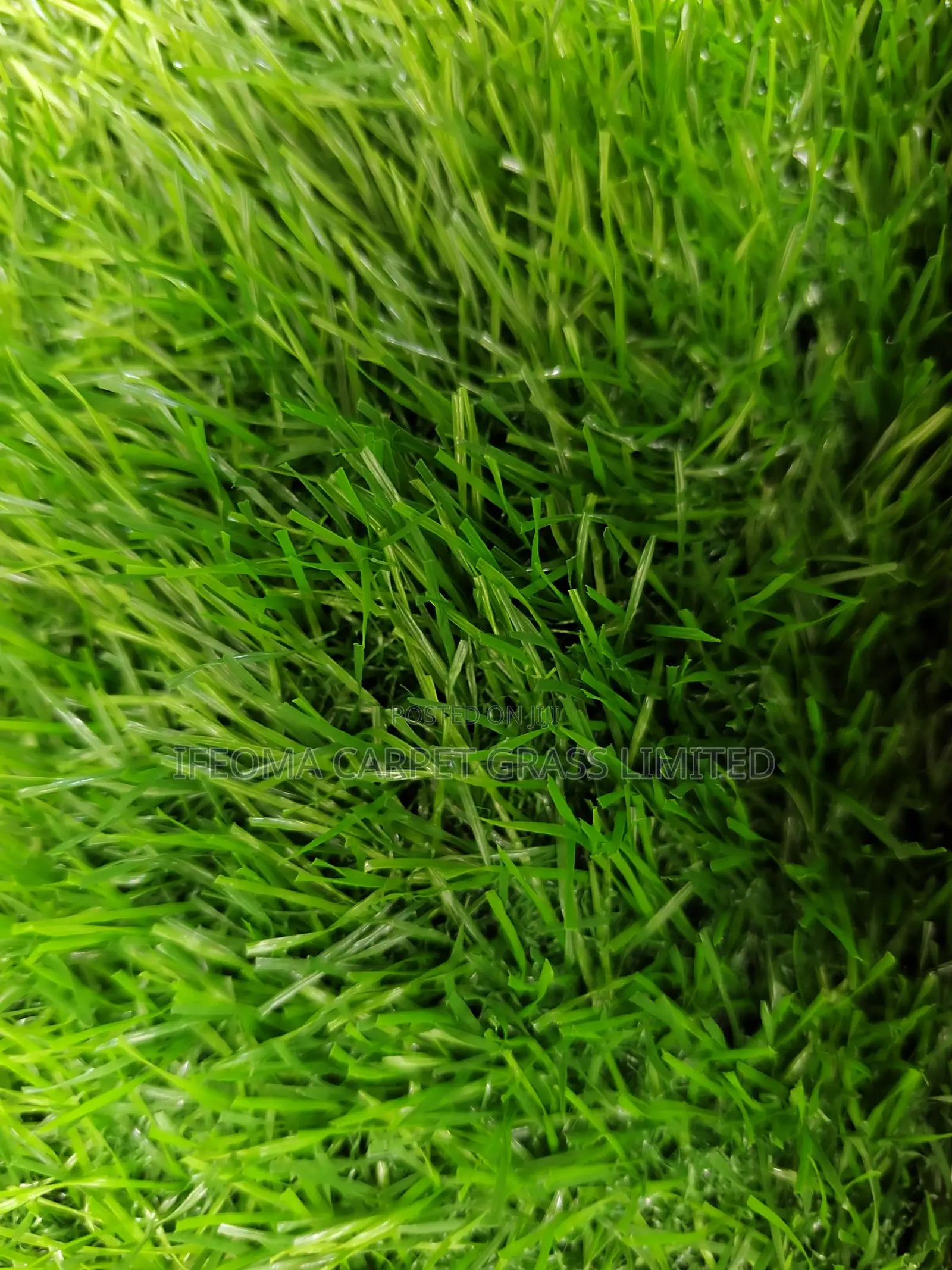 Artificial Grass. High Quality Artificial Grass Available in Different