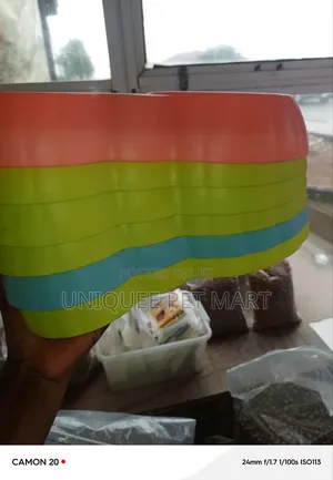 2 in 1 Feeding Bowls Dog Plate
