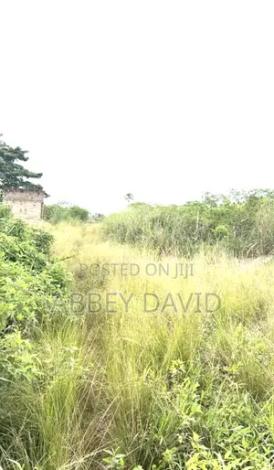Land for Sale 50/100 Off Airport Road Ihrihri