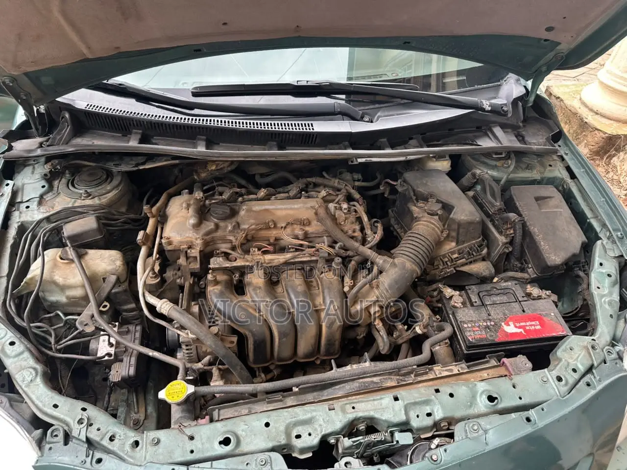Toyota Corolla 2010 Green