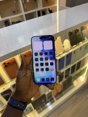 Apple iPhone 16 Pro Max 256 GB Gray