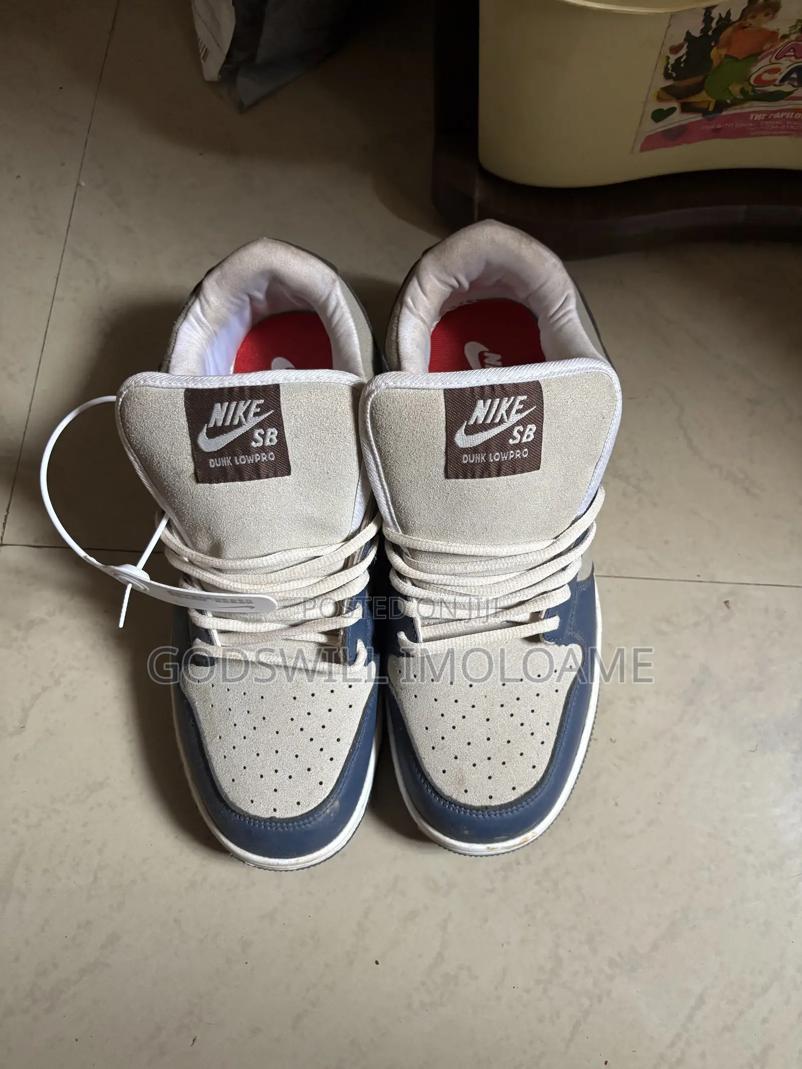 Nike Sb Dunk Low Pro