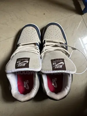 Nike Sb Dunk Low Pro
