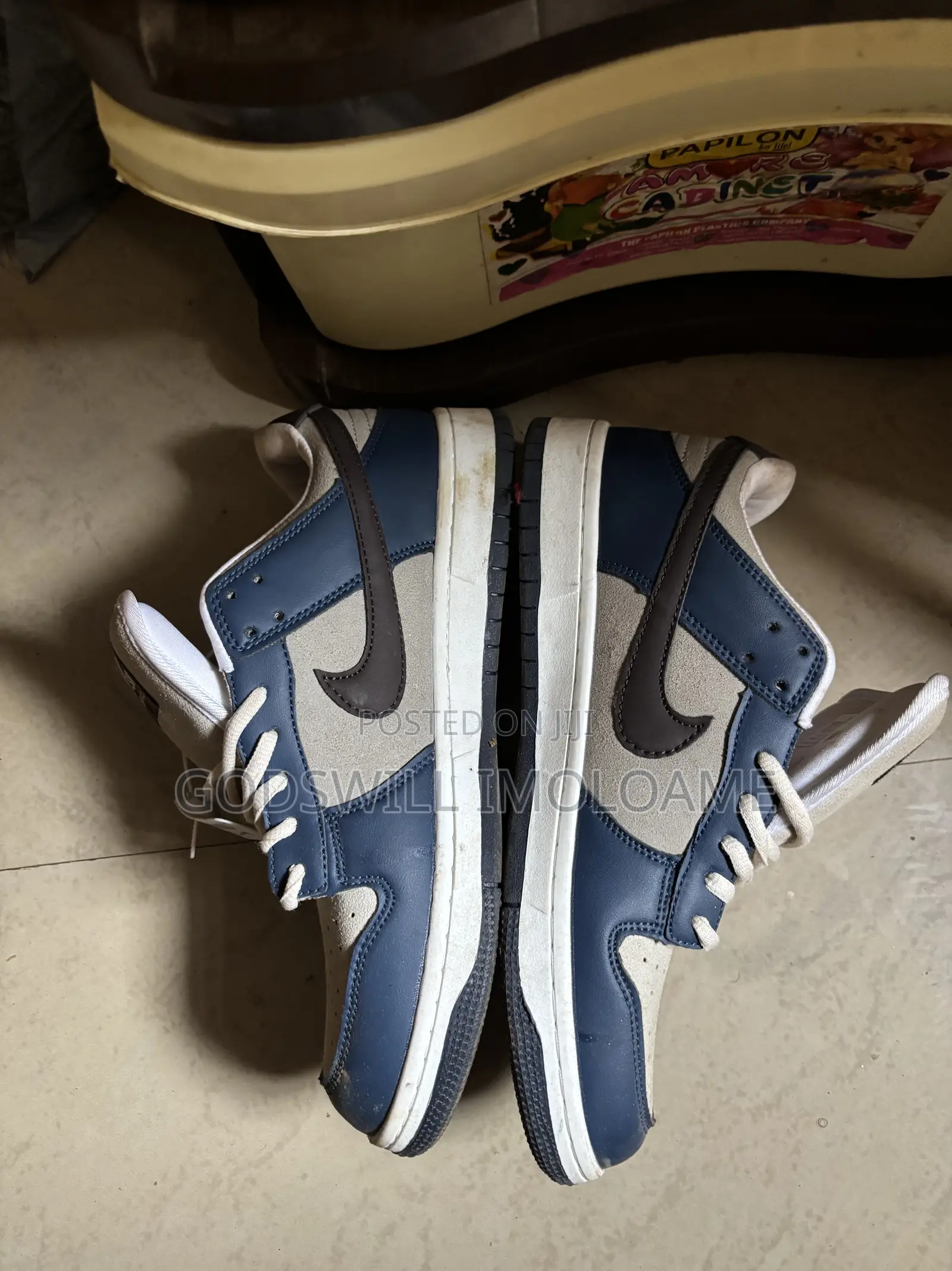 Nike Sb Dunk Low Pro