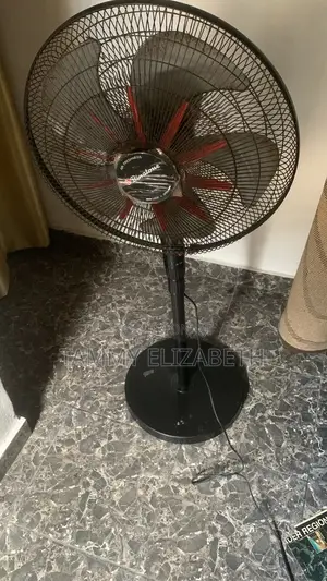 Standing Fan