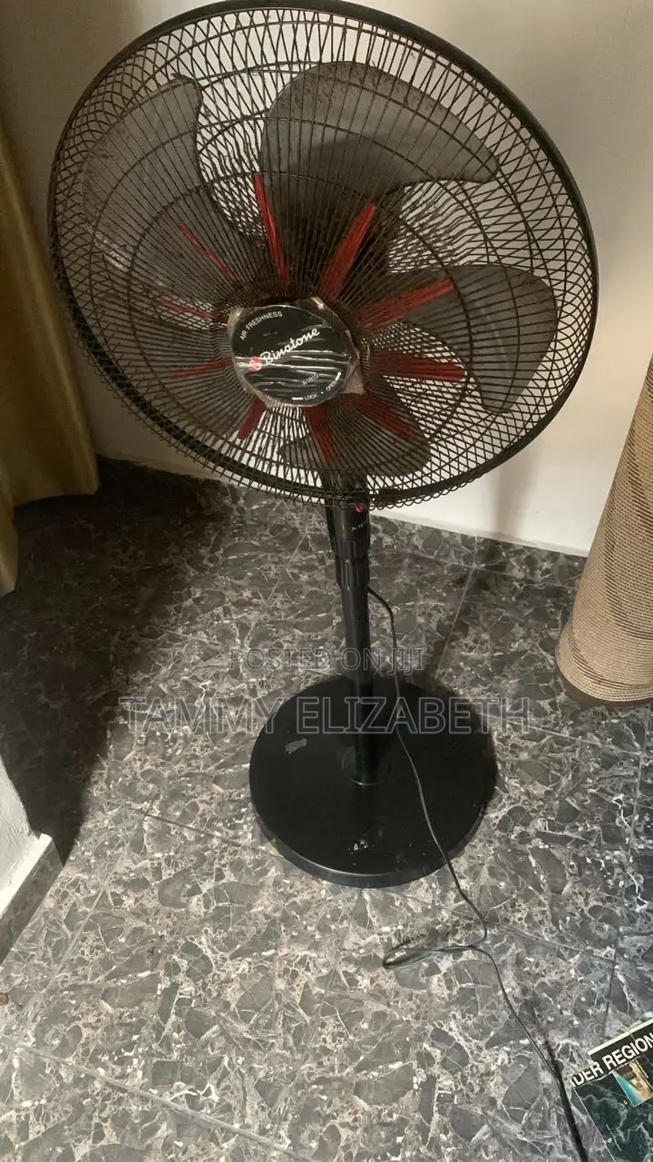 Standing Fan