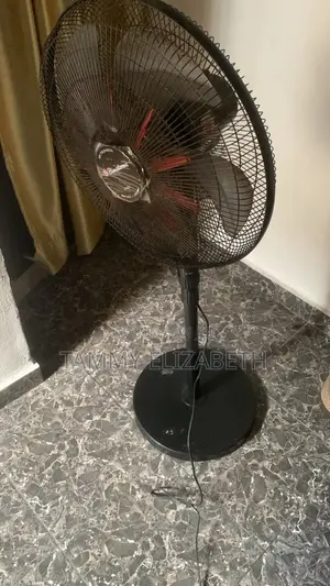 Standing Fan