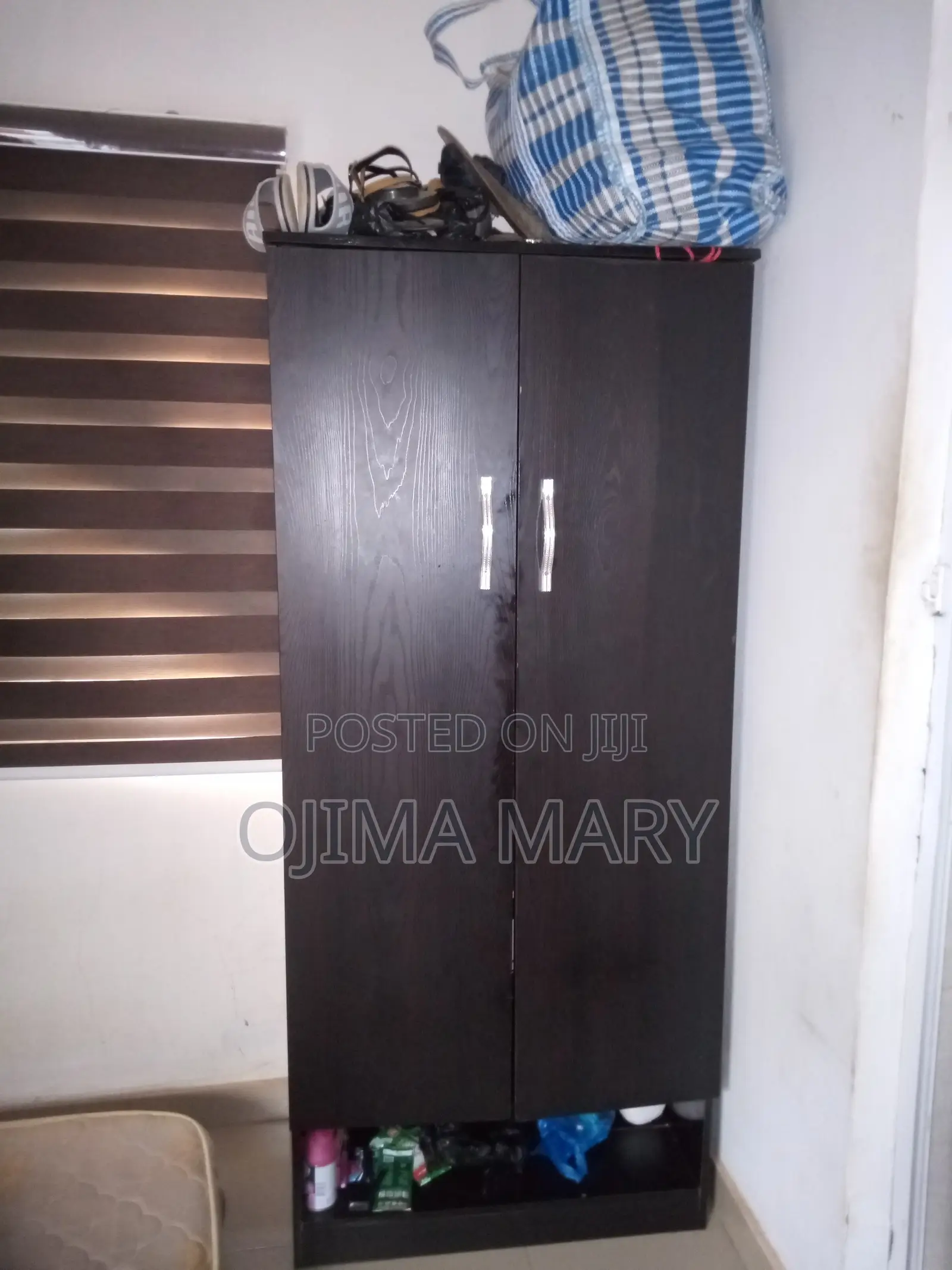 Wooden Wardrobe (Oil Painted)