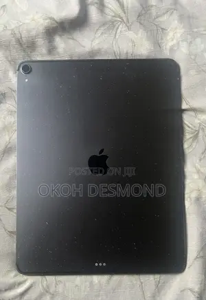 Apple iPad Pro 256 GB Gray
