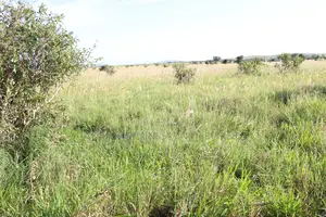 2 Plot of Land Available for Sale Abagana